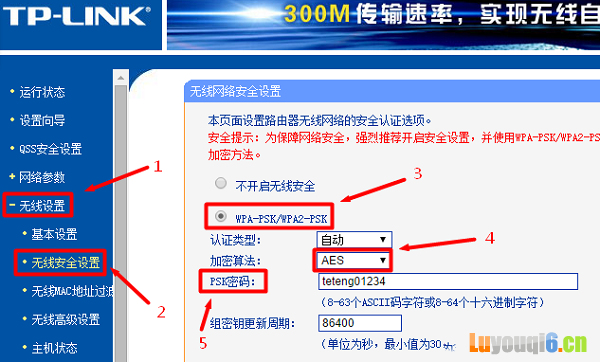 TP-Link·