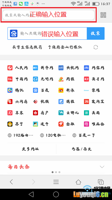 不要在搜索框中输入设置网址
